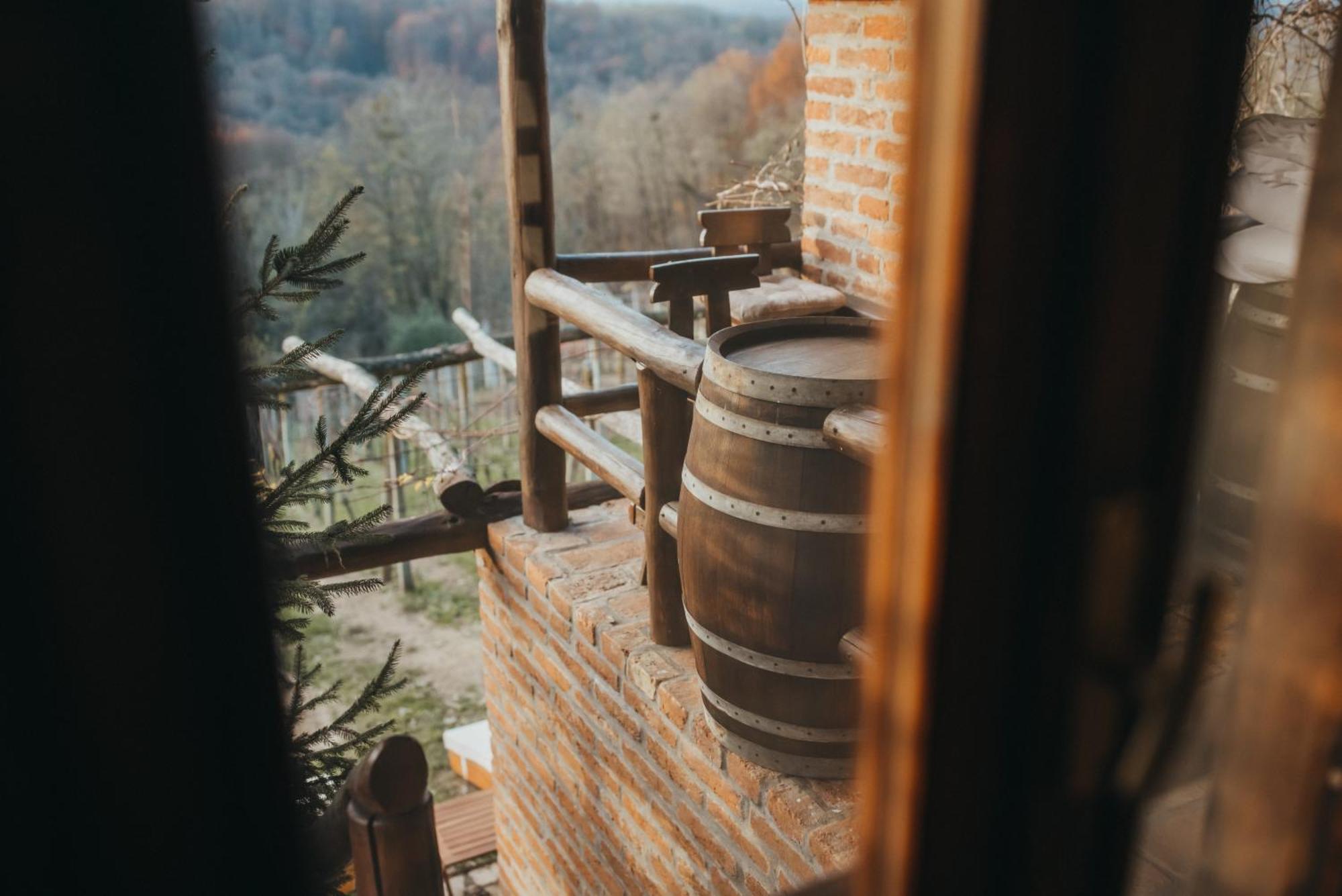 Holiday Home Wine & Relax Sveti Martin Na Muri Gornji Koncovcak Exterior photo